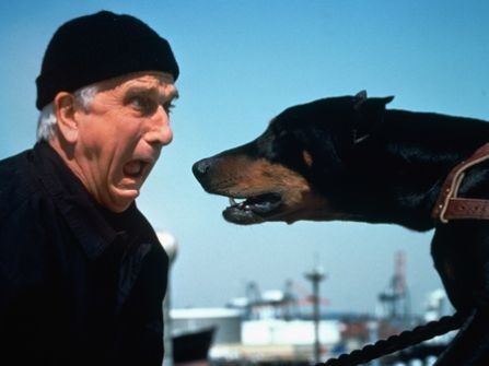 Çıplak Silah 2 fotoğrafı