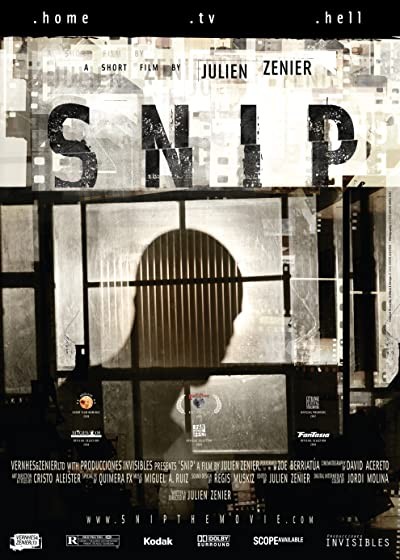 Snip (2008) afişi