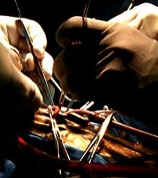 De Motu Cordis (2007) afişi