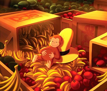 Meraklı Maymun Fotoğrafı