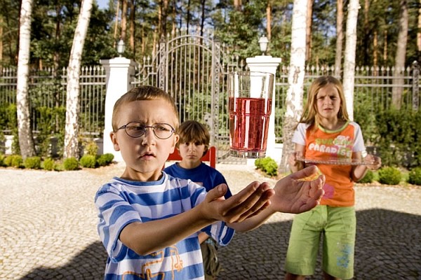 The Magic Tree fotoğrafı