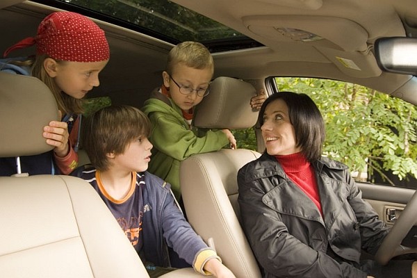 The Magic Tree fotoğrafı