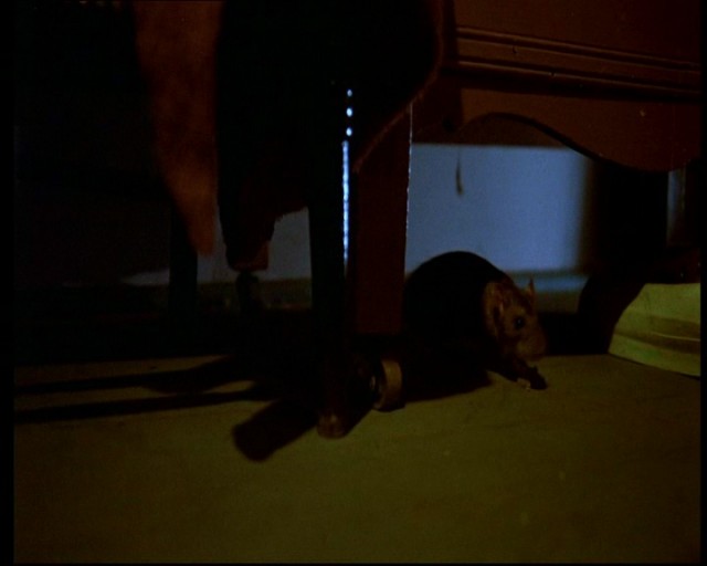 13. Cuma 2. Bölüm Fotoğrafı