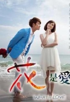 What Is Love (2012) afişi