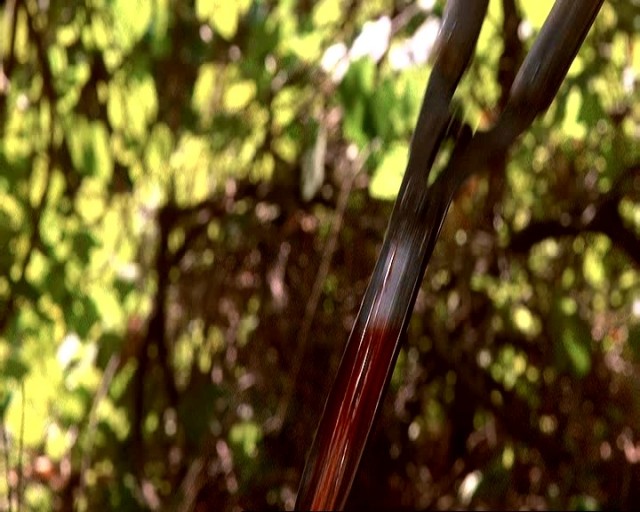 13. Cuma: Yeni Bir Başlangıç Fotoğrafı