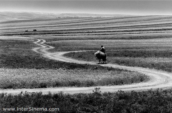 Roads Of Kiarostami (2006) afişi