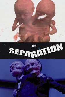 The Separation (2003) afişi