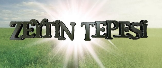 Zeytin Hasadı Fotoğrafı