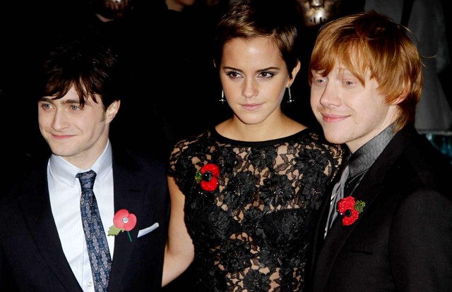 Harry Potter ve Ölüm Yadigarları: Bölüm 2 Fotoğrafı