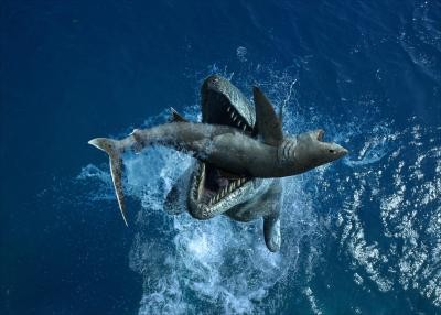 Sea Rex 3d: Journey To A Prehistoric World Fotoğrafı