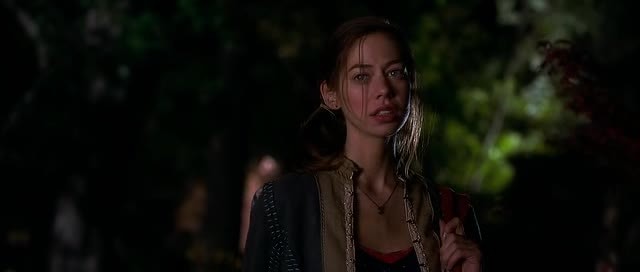 Çılgın Aptal Aşk Fotoğrafı