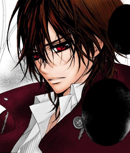 Vampire Knight: Guilty fotoğrafı