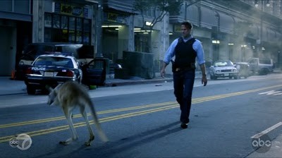 Flash Forward Fotoğrafı