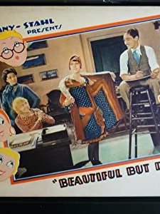 Beautiful But Dumb (1928) afişi