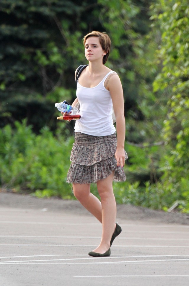 Saksı Olmanın Faydaları Fotoğrafı