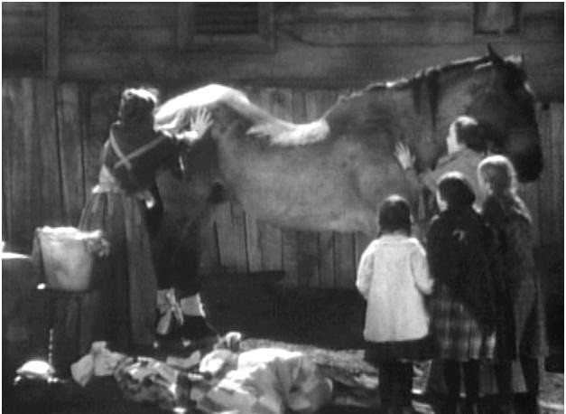 Mrs. Wiggs Of The Cabbage Patch Fotoğrafı