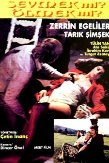 Çıldırtan Kadın (1978) afişi