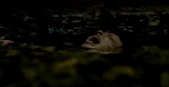 Left Bank Fotoğrafı