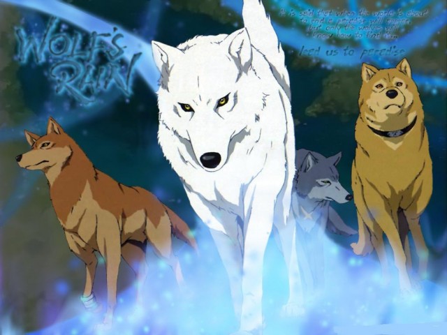 Wolf's Rain fotoğrafı