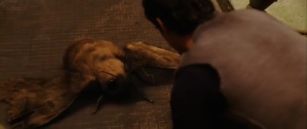 Sihirli Şehir Fotoğrafı