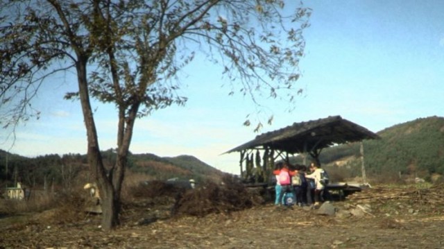 Mama And Papa Fotoğrafı