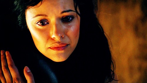 Spartacus: Gods Of The Arena Fotoğrafı