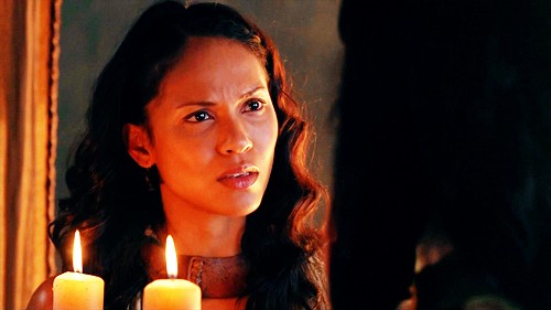 Spartacus: Gods Of The Arena Fotoğrafı