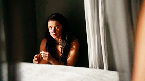 Spartacus: Gods Of The Arena Fotoğrafı