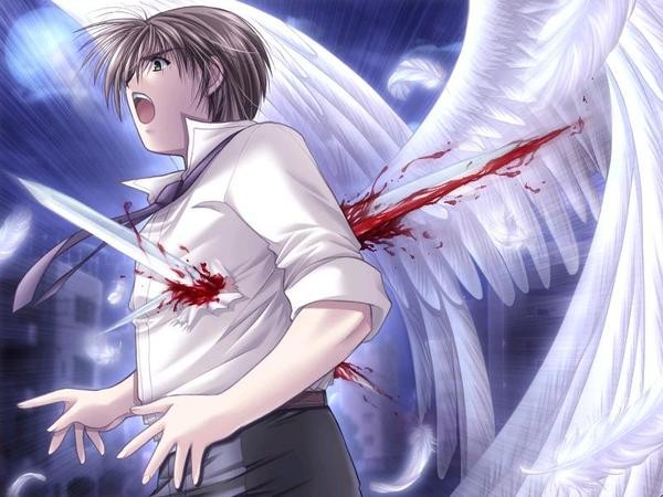 Angel`s Feather Fotoğrafı