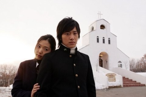 Tree Of Heaven Fotoğrafı