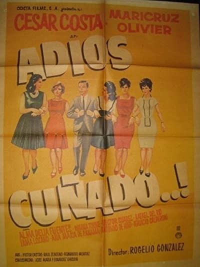 ¡Adios cuñado! (1967) afişi