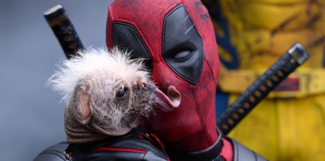 İlk İki Gününde 176 Bin Kişi "Deadpool ve Wolverine"i İzledi!