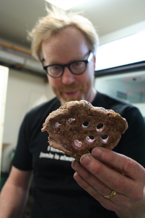 Adam Savage fotoğrafı