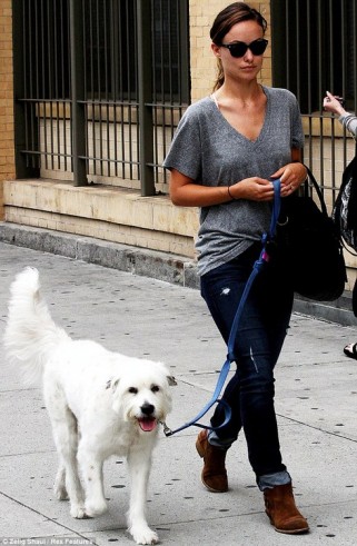 Olivia Wilde Fotoğrafı