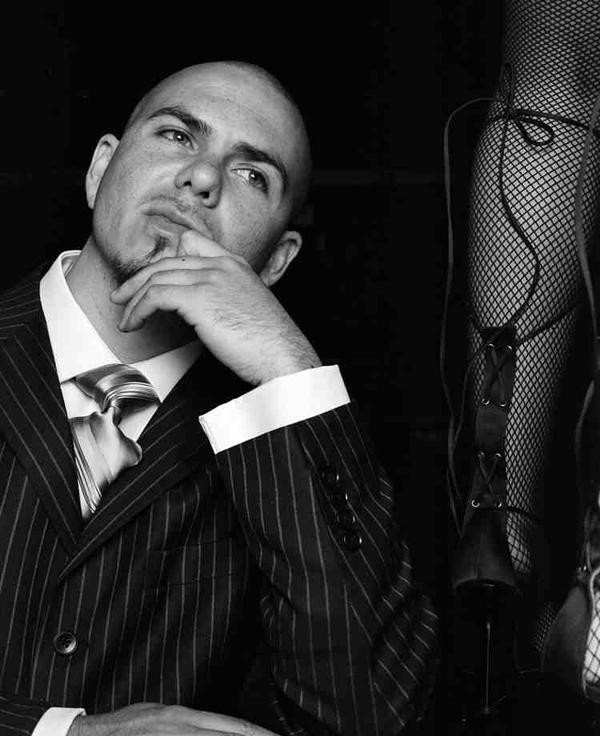 Pitbull Fotoğrafı