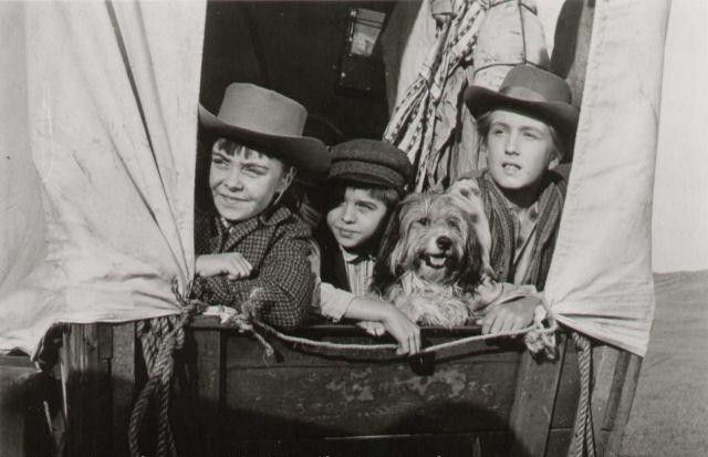 Tommy Cole Fotoğrafı