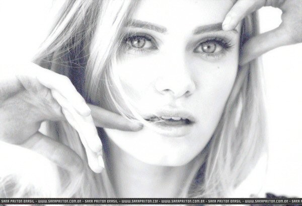 Sara Paxton Fotoğrafı