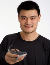 Yao Ming fotoğrafı