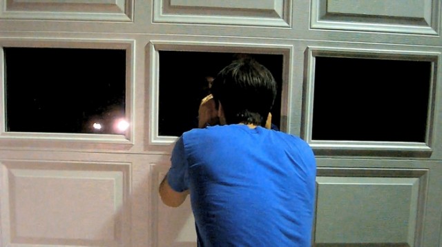 Catfish fotoğrafı