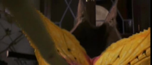 Jumanji Fotoğrafı