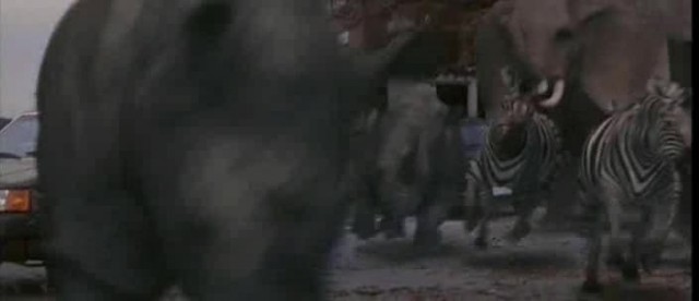 Jumanji Fotoğrafı