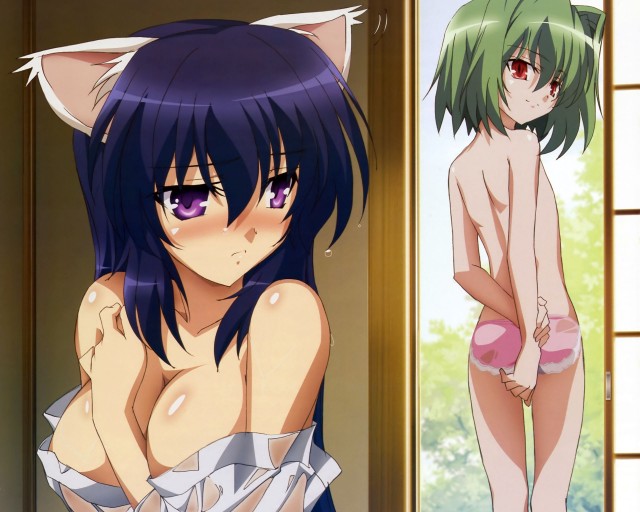 Omamori Himari Fotoğrafları 19