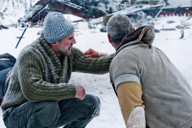 Gri Kurt Fotoğrafı