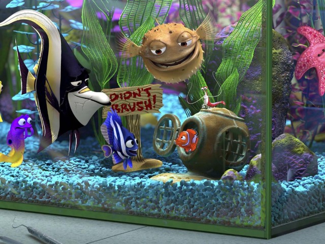 Kayıp Balık Nemo Fotoğrafı