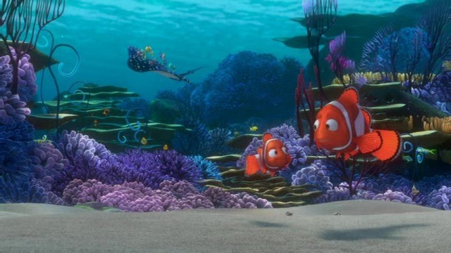 Kayıp Balık Nemo Fotoğrafı