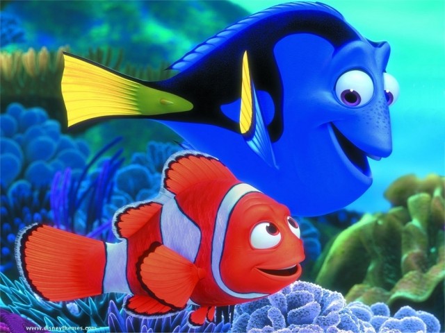 Kayıp Balık Nemo Fotoğrafı