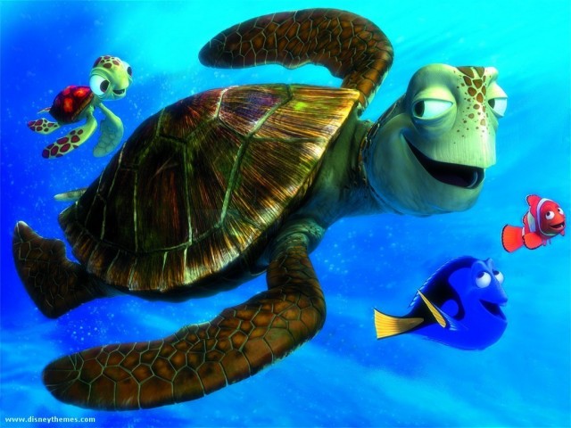 Kayıp Balık Nemo Fotoğrafı
