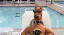 Scooby Doo: Göl Canavarının Laneti Fotoğrafı