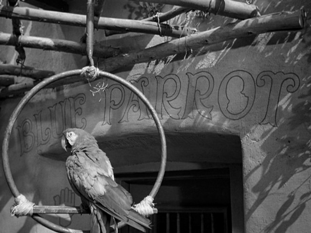 Kazablanka Fotoğrafı