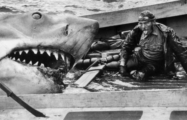 Jaws Fotoğrafı